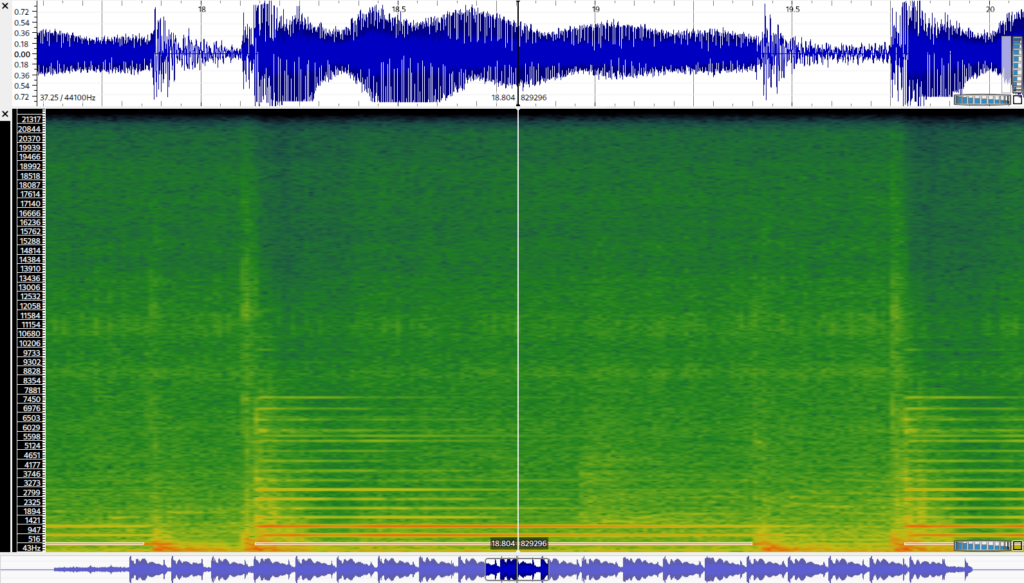 Audio-Wellenform und Spektrogramm