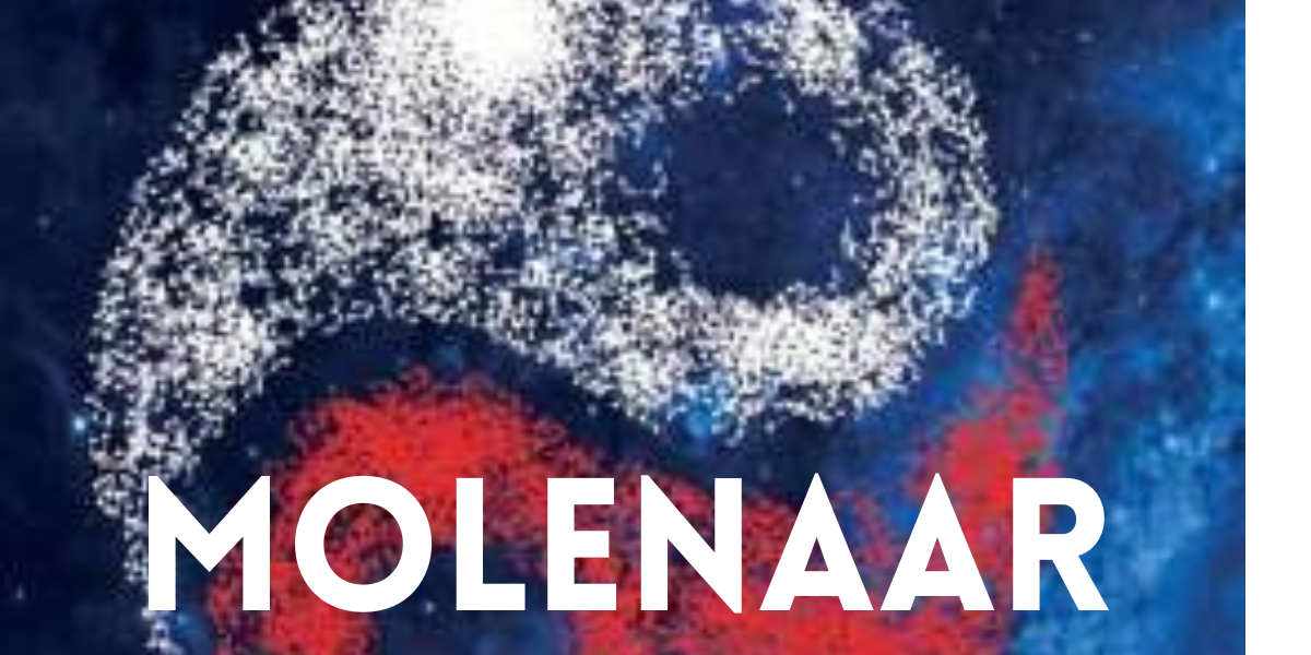 Molenaar