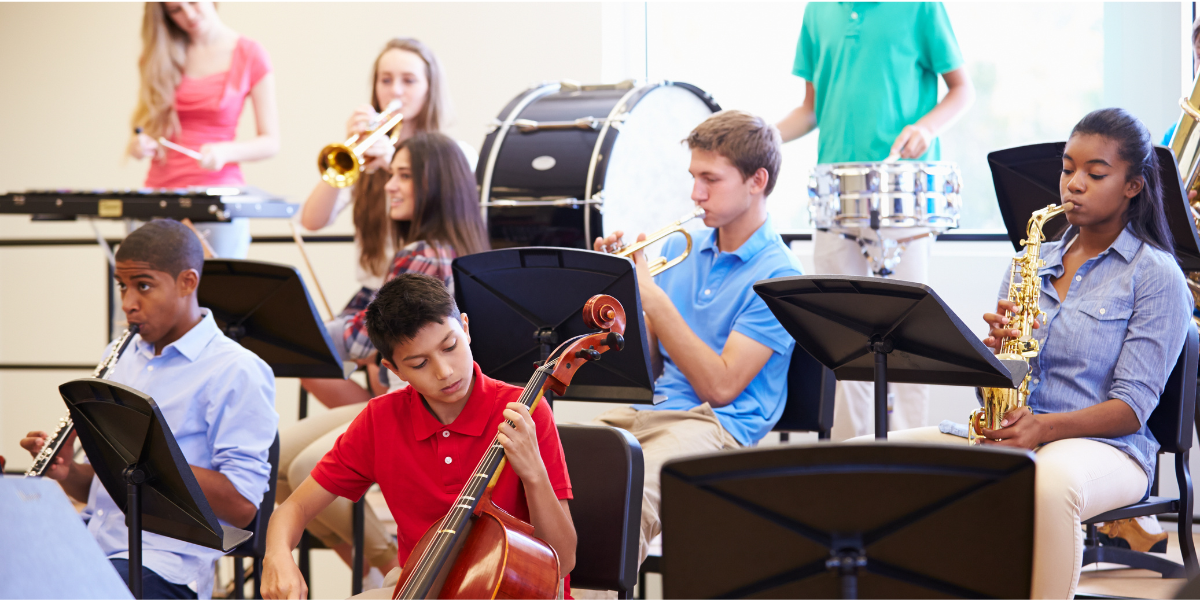 The importance of youth orchestras for young musicians and orchestral literature in musicainfo.net